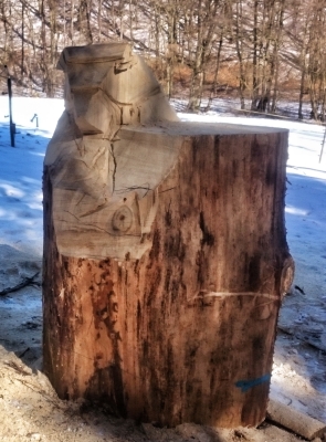 b�r bear jochen adam holzwerker schnitzen mit der motors�ge